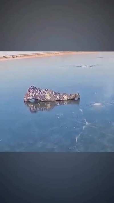 When the escape fails just go prone and hope for the best.