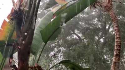 Power packed thunderstorm rolled in out of nowhere. My favorite kind.