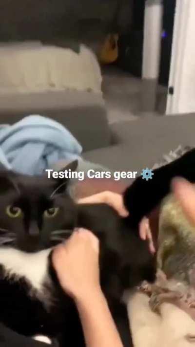 She will be driven soon( Tesla model car)