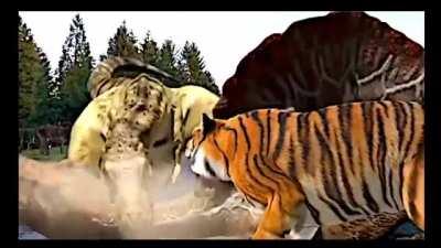 Este video cambio mi vida