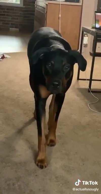 Steven doesn't respect the coffee