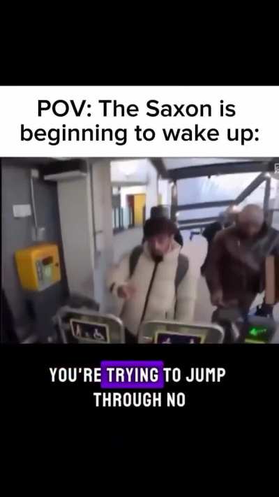 Man taking it upon himself to prevent fare evasion in the subway (caption not mine)