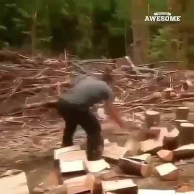 Just a dude chopping wood