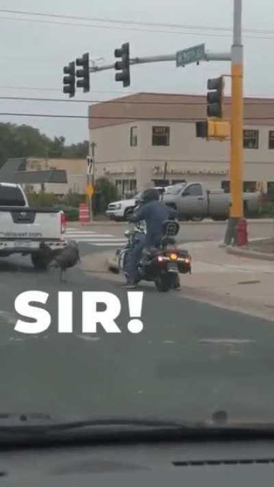 A traffic stop run afowl