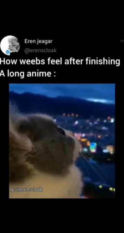 i am looking at you naruto