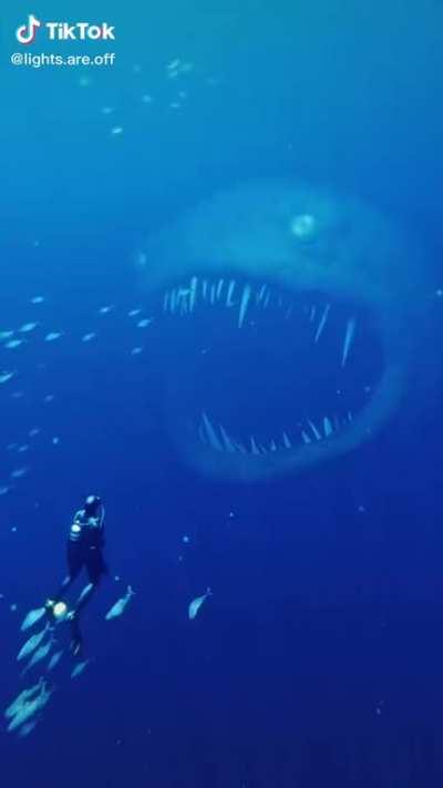 Thanks, I hate these hyper realistic CGIs