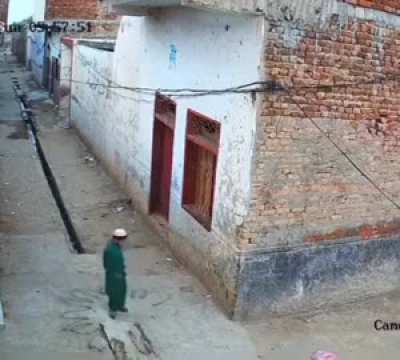 te dedico una flor gloglo 🌻