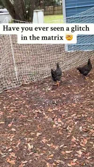 Glitch in the Matrix or Nah? 