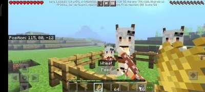 Don't mind me just a normal Minecraft video