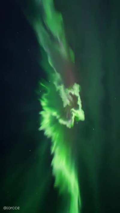 The Northern Lights in Ranua, Finland
