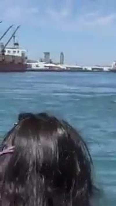 A small plane with engine failure, couldn't make It to a very close highway where It could have landed safely.