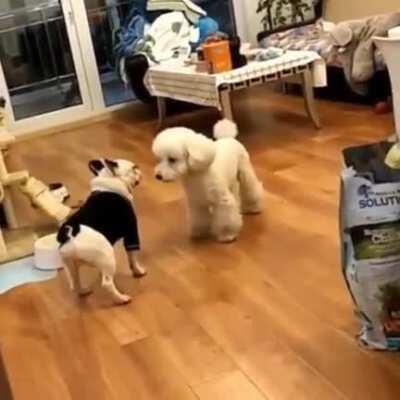 When u enter sneak mode while having a follower