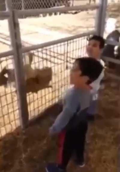 Hahaha the innocence of a child