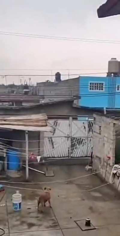 this was not part of the plan