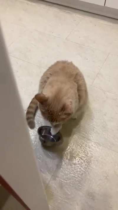 Me after 5 minutes of being productive