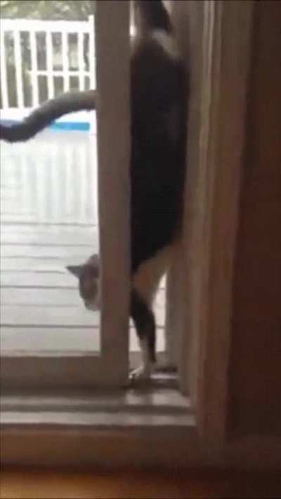 To get back in the house