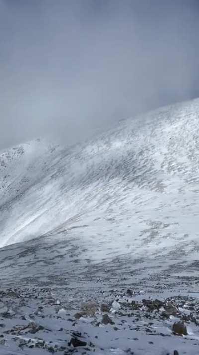 🔥 Gray's and Torriesm's Peak, Colorado, USA