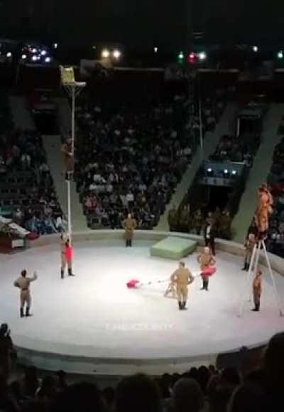 A difficult circus trick performed flawlessly