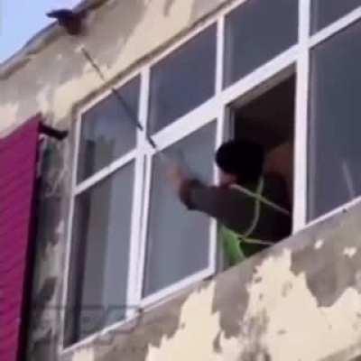 Attempted wasp massacre