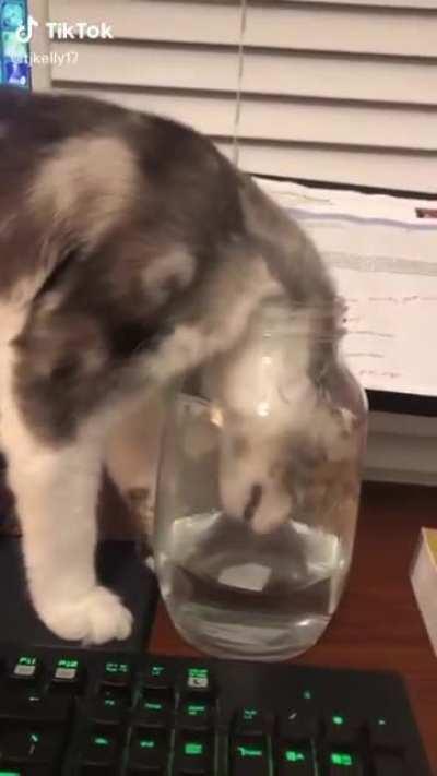 Who else felt pain after looking at this?