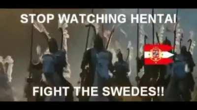 DESTROU SWEDES