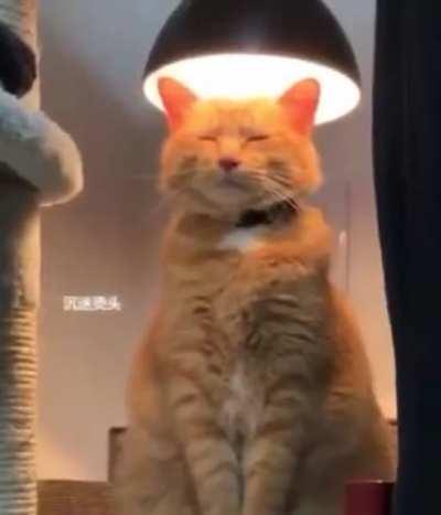 I guess it’s nice and warm?