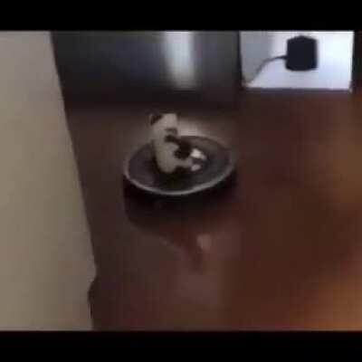 Your Uber driver is here.