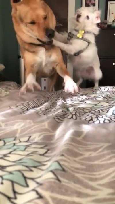 We call her The White Devil.