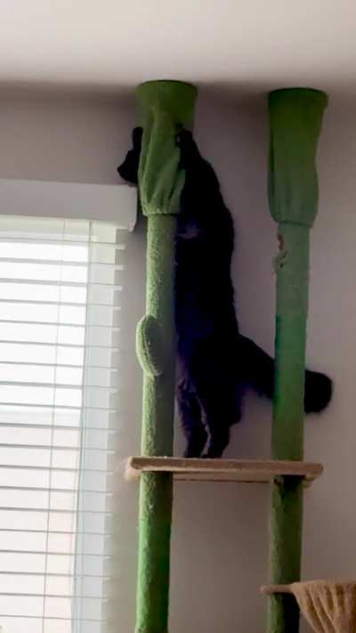 new year. same damn greebles.