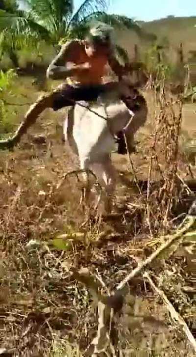 Being Cruel to an animal, what could go wrong?