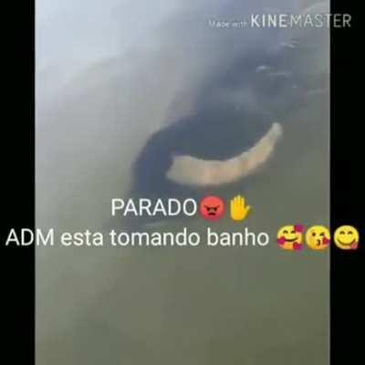 𝙿𝚊𝚛𝚊𝚍𝚘😠🖐️