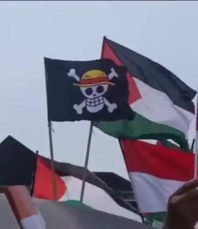 Someone bought a Strawhat flag from One piece to a protest 😭