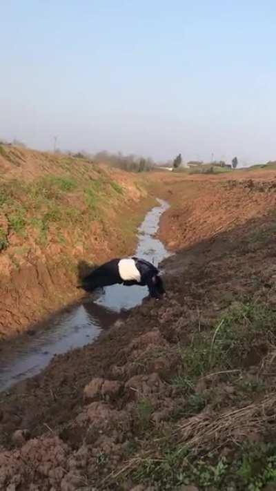 HMB while I cross the stream