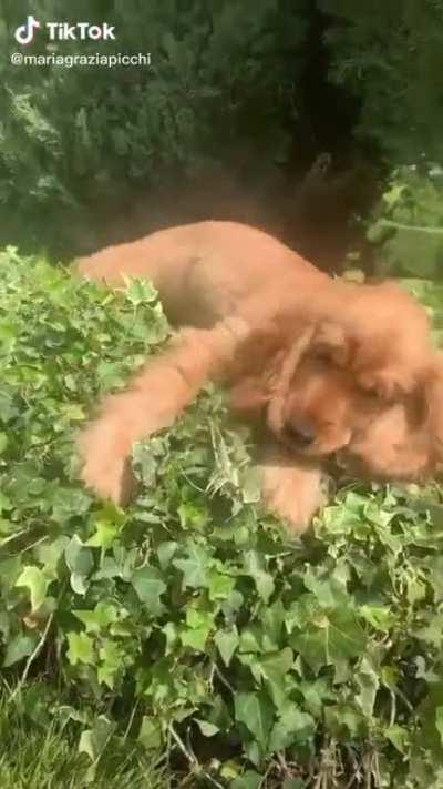 That look when he realised what's gonna happen!