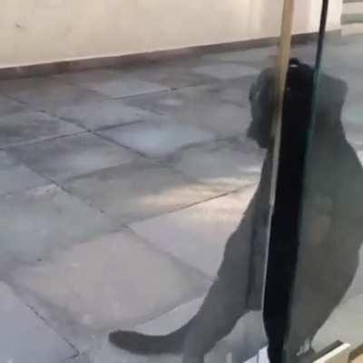 A little help here guys...