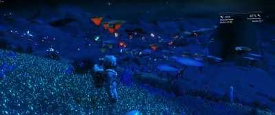 Sometimes you just have to stop and let it blow your mind.