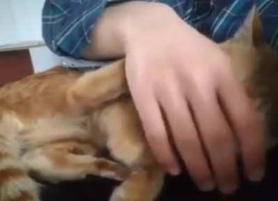 No No, Your Hand Goes Here