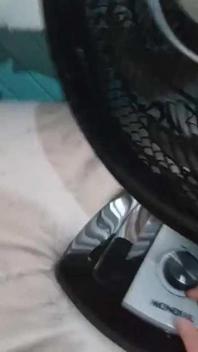 eu tenho um opala no meu quarto