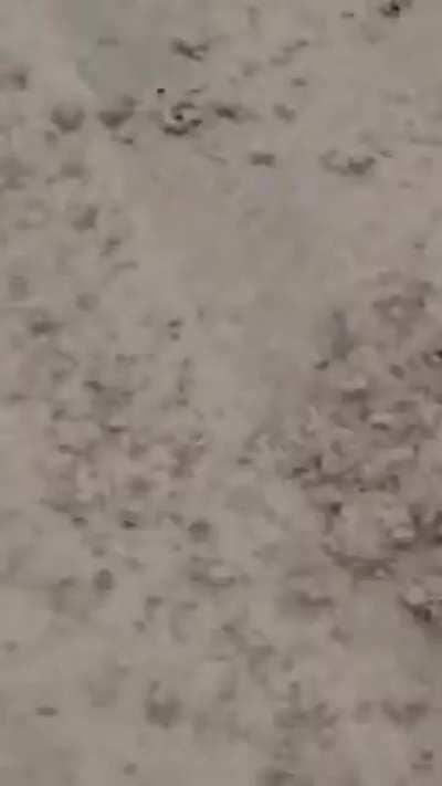 School Bus drives straight through construction site