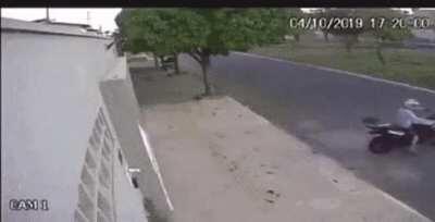 Just a day in the life of your casual zombie