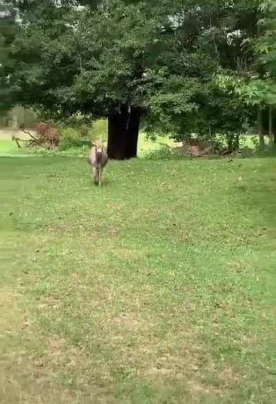Reunited with his favorite human.