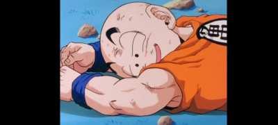 Dbz napoleon refrance 