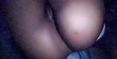 Somebody point me to the best 🐱 eater 😛