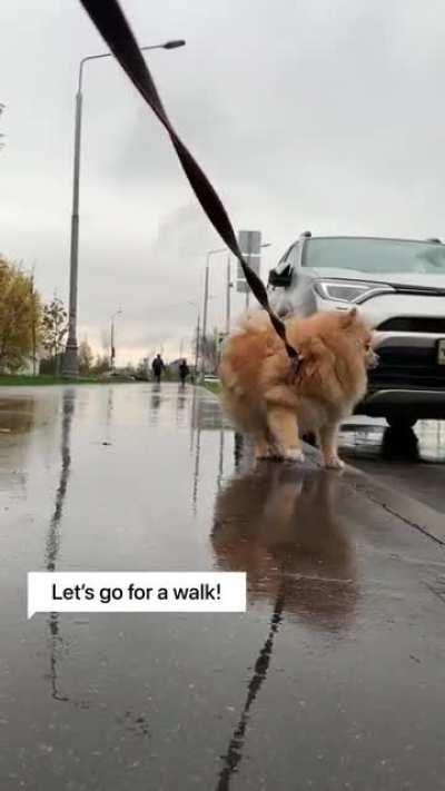 She doesn’t like the rain and puddles