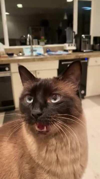 My 70 y/o dad sent me this video today. An evening chat between himself and his friend.