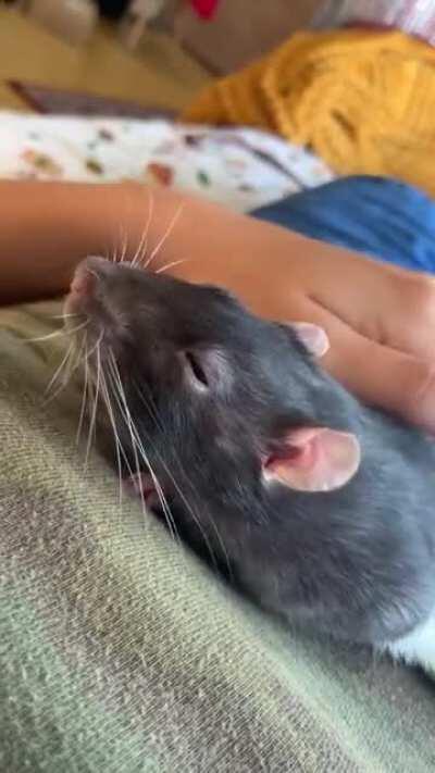 my sweet little guy!