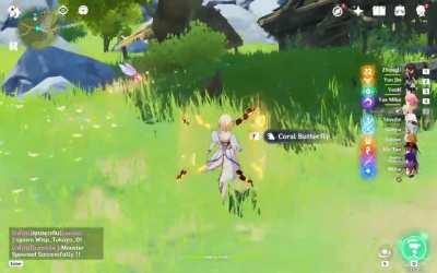 Coral butterfly video