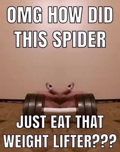 Spider eats weights