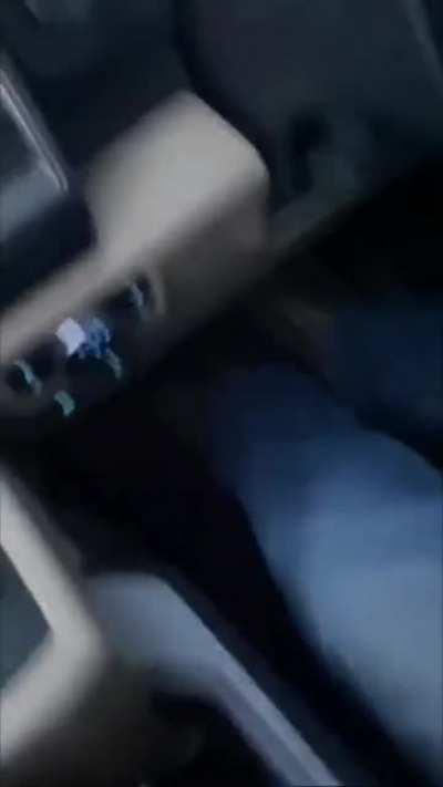 Road raging elk pops motorist’s tire