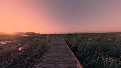 walking through the local park 